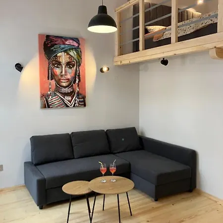 Loft Exit Centre - 2 New شقة نوفي ساد