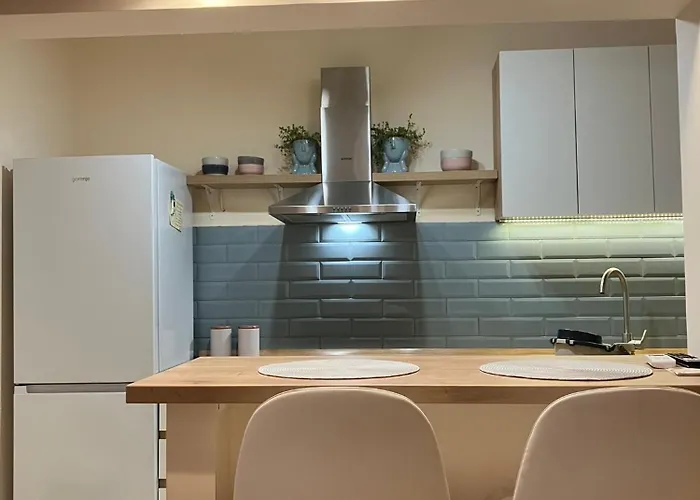 Loft Exit Centre - 2 New アパート ノヴィ・サド