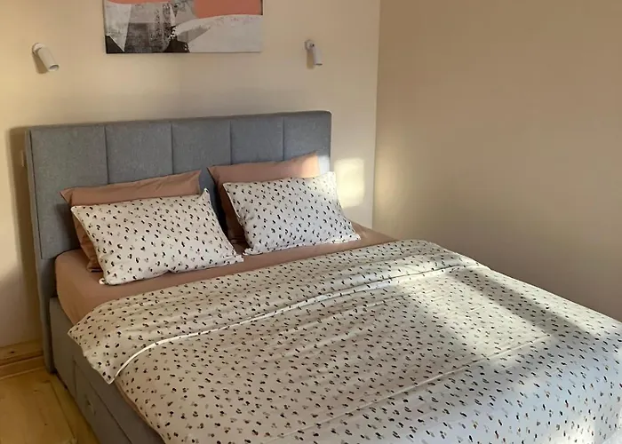 アパート Loft Exit Centre - 2 New ノヴィ・サド